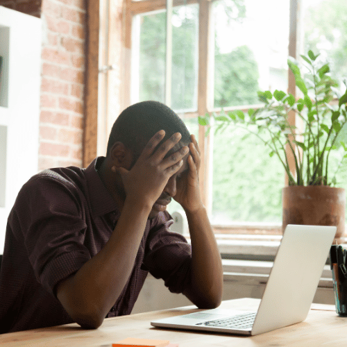 Animation Studio Boston